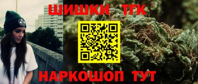 СК Гай