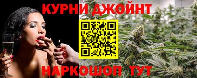 шишки Гатчина