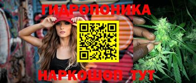 СК Гай